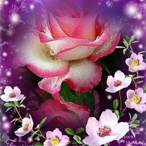 Meet your Posher, Deysi